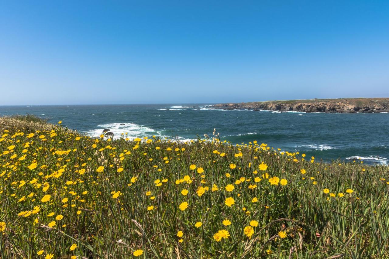 Studio 9 Glass Beach Fort Bragg Ngoại thất bức ảnh