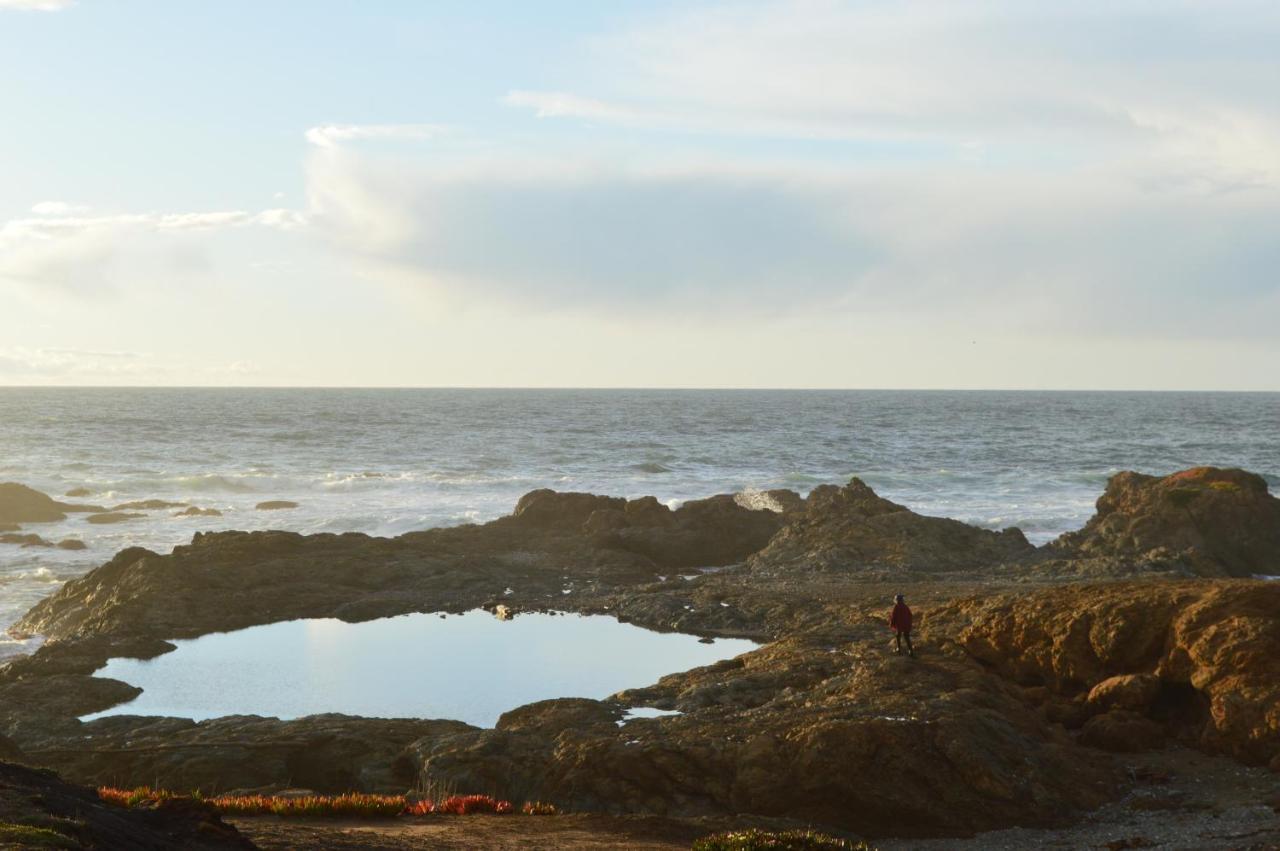 Studio 9 Glass Beach Fort Bragg Ngoại thất bức ảnh