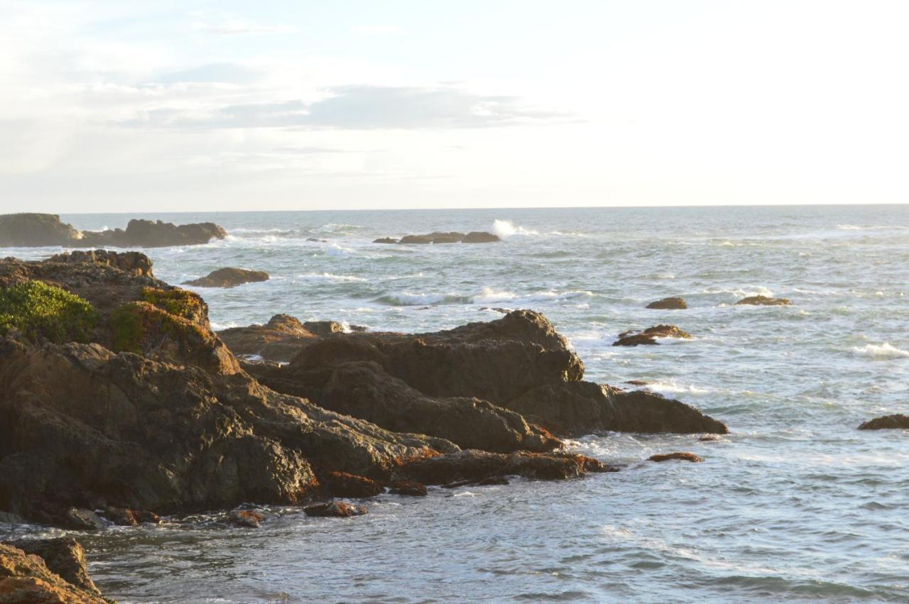 Studio 9 Glass Beach Fort Bragg Ngoại thất bức ảnh